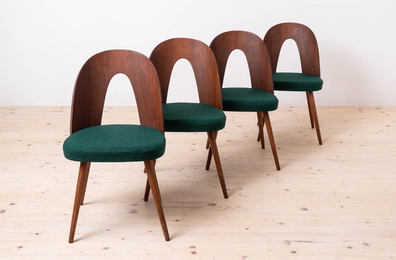 Image 1 of Set of 10 Mid Century Dining Chairs by A. Šuman, 1960s, Customizable Upholstery Available