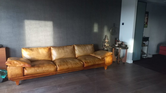 Molinari sofa – 3-5 seaters, Leather (photo 11 of 12)