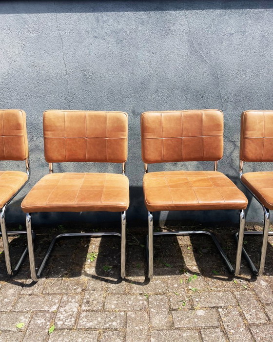 Image 1 of Rohrgestellstühle aus braunem Leder (4 Stück)