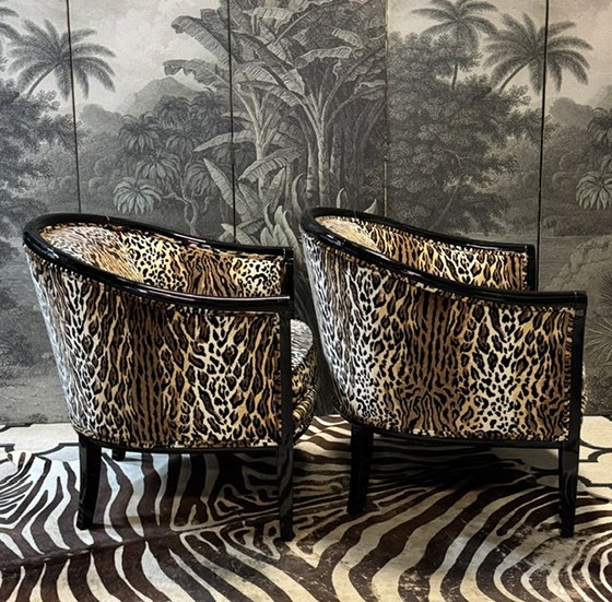 Image 1 of 2 fauteuils Tiger Club