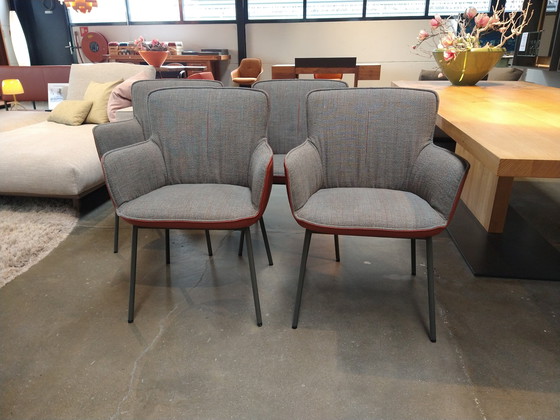 Image 1 of 4x Rolf Benz - 655