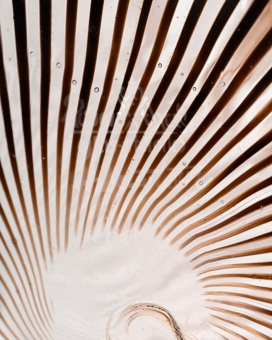 Image 1 of Rosenthal Glasstudio Filigrana Vase Duo – Mario Colelli & Hertha Bengtson · Limited Edition Art Glass, Germany