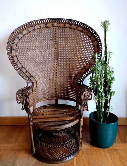 Vintage Emmanuelle Sessel Peacock um 1960