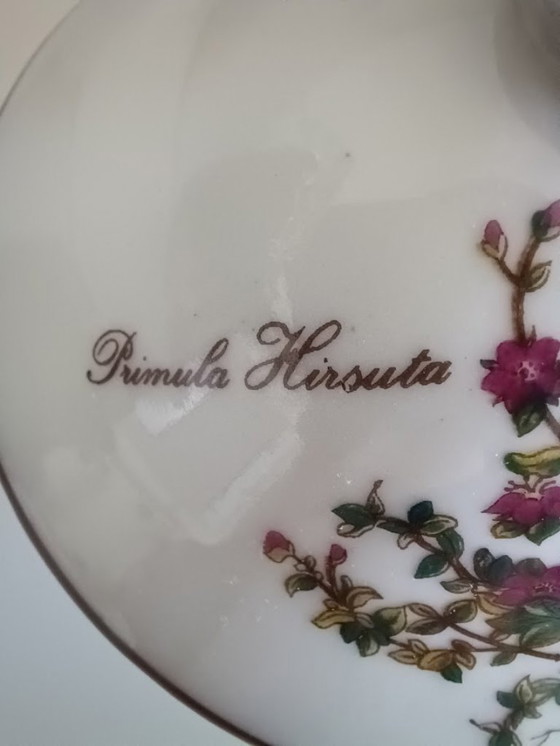 Image 1 of Théière vintage en porcelaine. Sérigraphie botanique. Herrandiz Espagne.