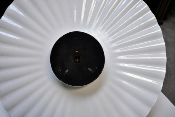 Image 1 of Flos plisado