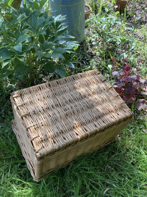 Image 1 of Cesta de mimbre antigua con cierre y asa.