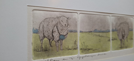 Image 1 of Litografia a colori raffigurante Rodolfo, l'ariete, e le sue spose forzate.
