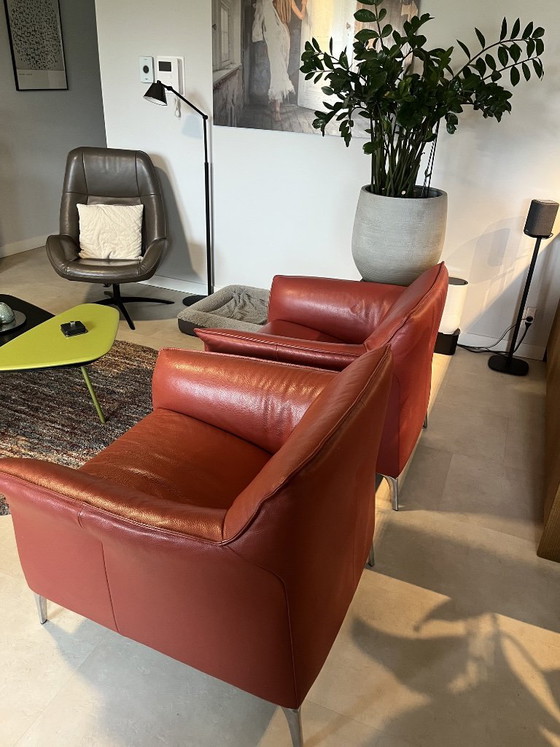 2 Leolux Mayon Armchairs – Leather, Aluminium (photo 3 of 6)