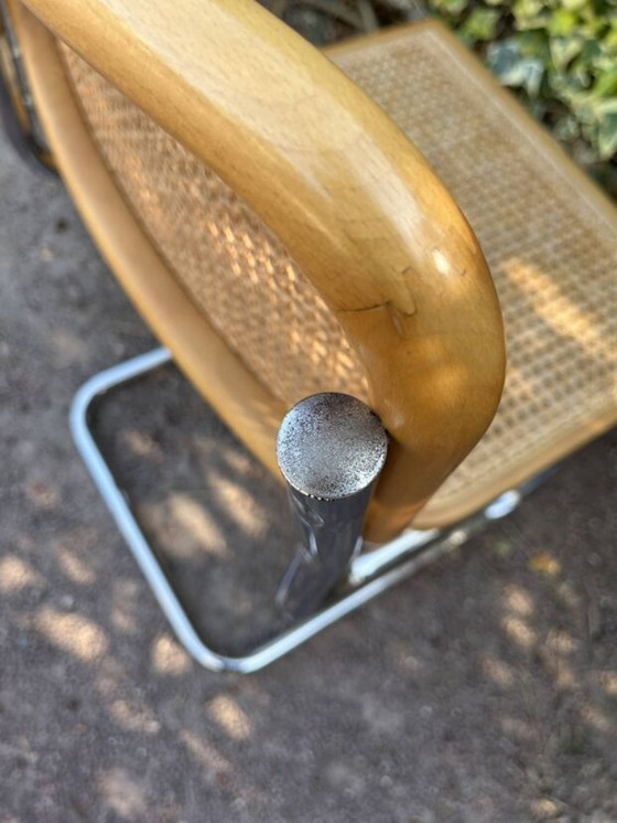 Image 1 of sedia in canna