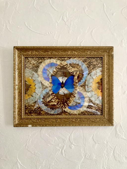 Composizione astratta incorniciata a forma di ali di farfalla