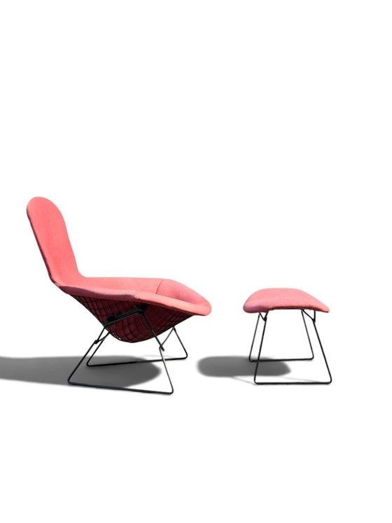 Autentica poltrona e poggiapiedi "Bird" di Harry Bertoia per Knoll - Acciaio nero e rosa sbiadito (photo 3 of 12)