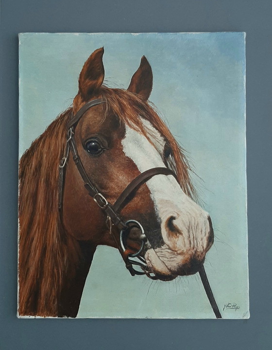 Image 1 of Dipingere la testa di cavallo