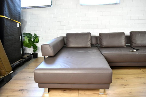 E. Schillig Brand Face Taupe Ledersofa Schlaffunktion Ledercouch Lederecksofa L Form Garnitur Schlafsofa Ecksofa Echtleder Verst