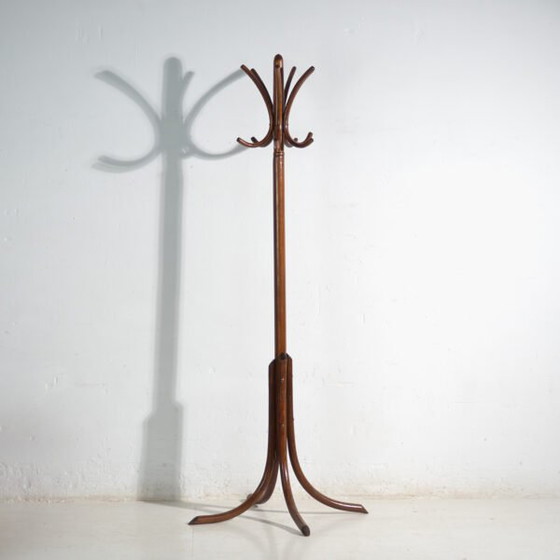 Bentwood Coat Stand in Beechwood – Austria-Hungary, Thonet Style, Circa 1900 – Coat racks, Metal (photo 5 of 36)