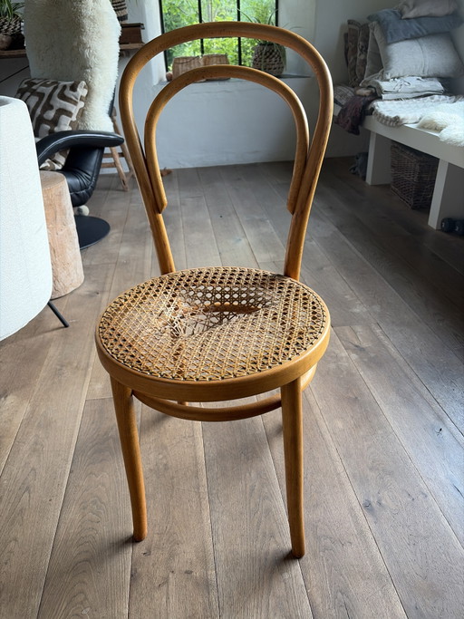 6 sillas Thonet