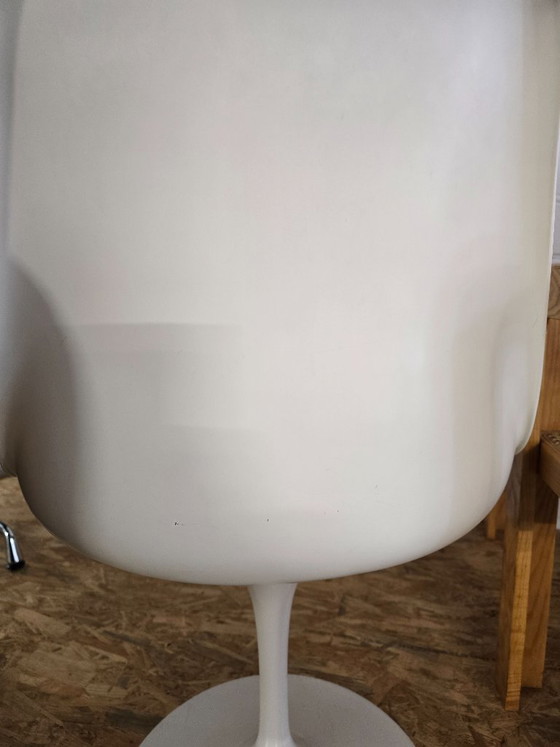 Eero Saarinen Tulip Chair voor Knoll International – Kuipstoelen, Fiberglass (photo 4 of 5)