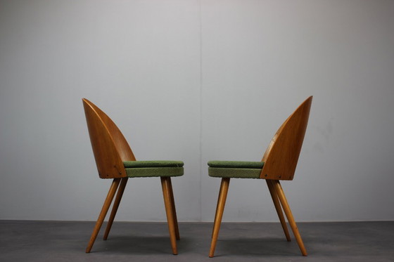 Image 1 of  Set di 2 sedie Tatra di metà secolo di Antonín Šuman per Nábytok Pravenec, 1960, Cecoslovacchia