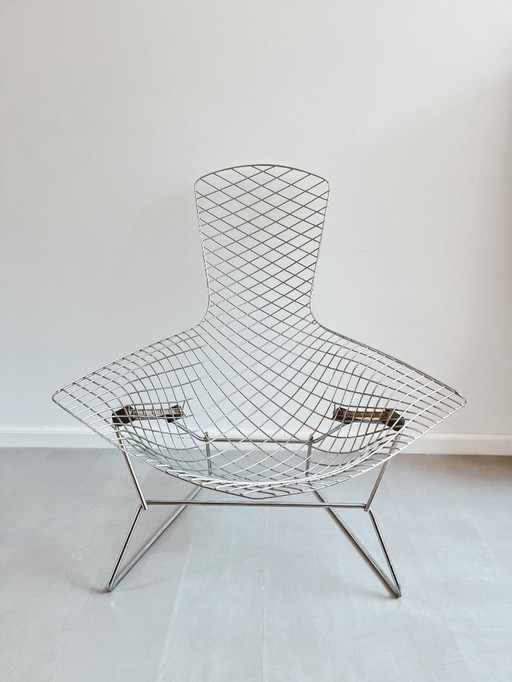 Vintage Knoll Harry Bertoia Bird Lounge Chair