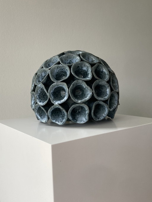 Image de corail dans une céramique gris-bleu