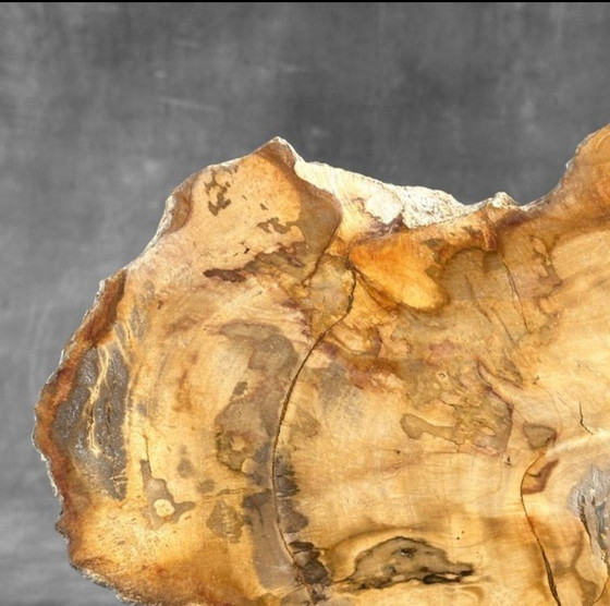 Image 1 of Bois fossilisé de Sooka, fabrication sur mesure standard (nouveau)