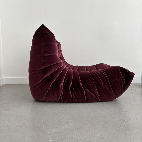 Image 1 of Chauffeur togo violett