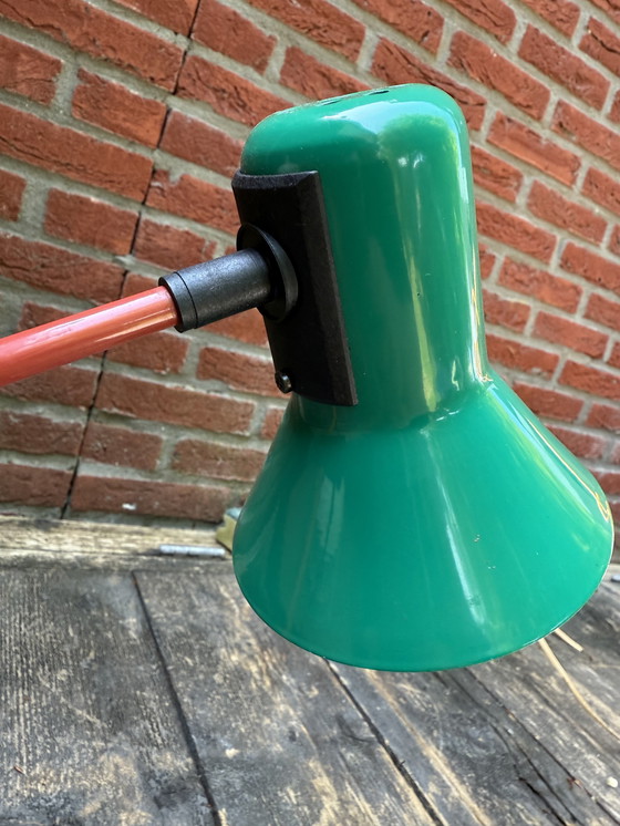 Image 1 of Massive Veneta Lumi