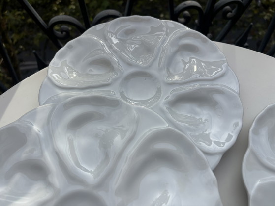 6 Assiettes à Huîtres Majolique – majolique française, Geschirr, Ceramic (photo 8 of 15)