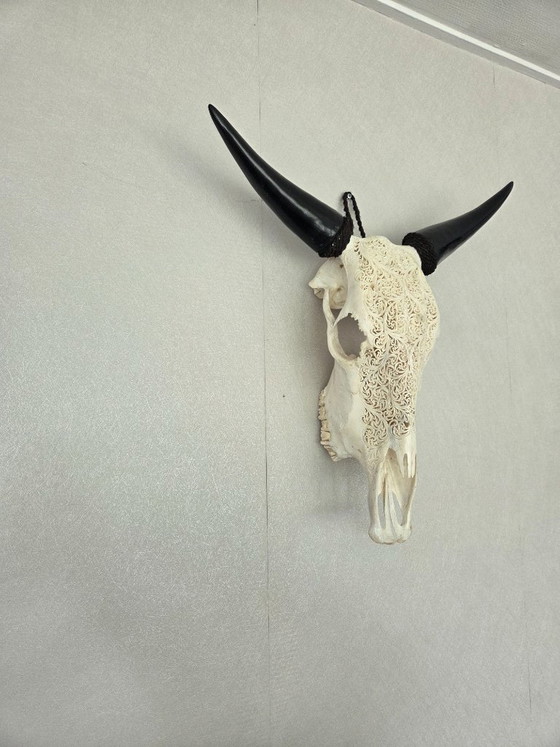 Image 1 of Hand-Carved Cow Skull – Unique Fern Motif (Boho-Ibiza)