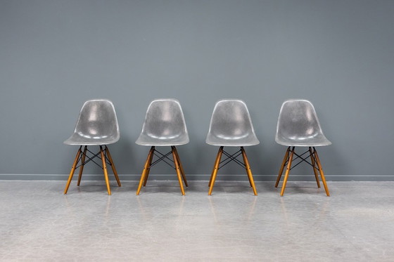 Image 1 of Sedie Eames DSW Elephant in fibra di vetro grigia, 6x