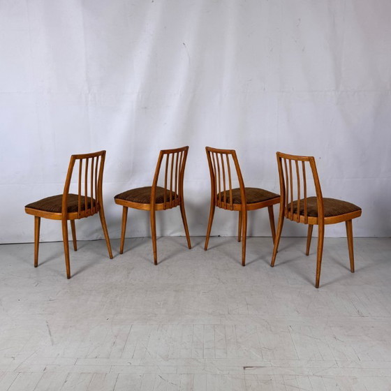 Image 1 of Set aus 4 tschechoslowakischen Esszimmerstühlen, 1960er Jahre