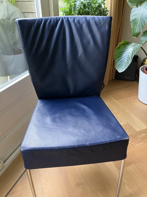 Image 1 of 6 Mountain Spike