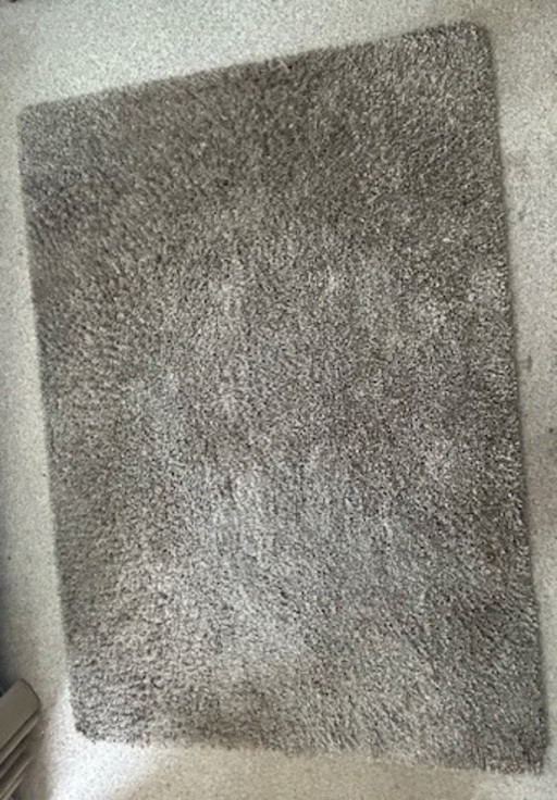 Shaggy rug