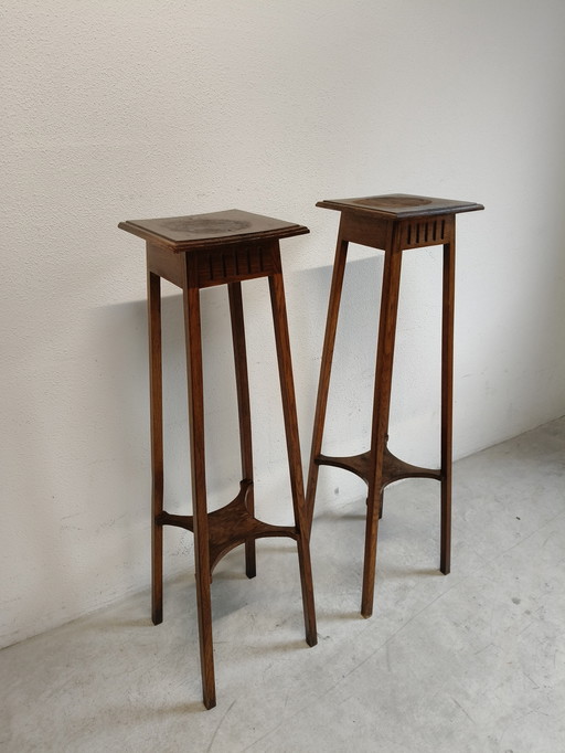 Mesas de plantas o estatuas de roble muy grandes y desgastadas