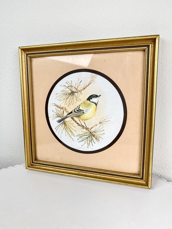 Image 1 of Small Vintage Bird Gold Framed Art Print - Cute Great Tit Retro Portrait in Square Gold Frame on Beige Background - Rustic Deco