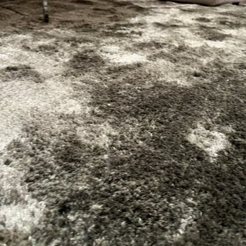 Image 1 of Brinker Carpets Vitero rug - 240x340