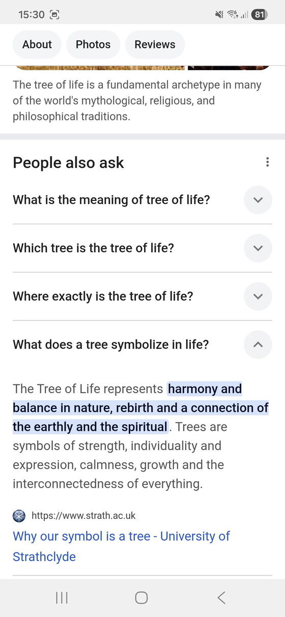 Image 1 of Albero della vita