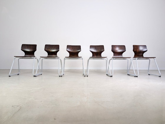 Image 1 of Conjunto original de 6 sillas de madera pavimentadas de mediados de siglo de Adam Stegner, silla ASS