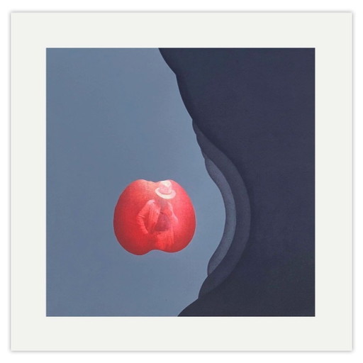 Jean COULOT Screenprint Le Chapeau Blanc 1976 – lithos zeefdrukken, Paper (photo 2 of 5)