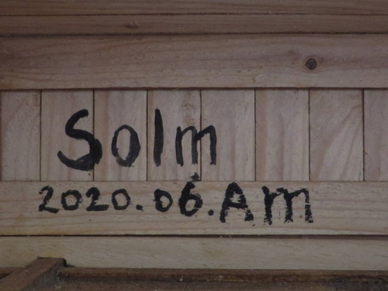 Image 1 of Eric van Solm - 2020.06.AM