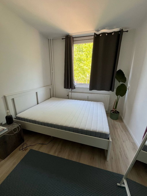 IKEA Bed Frame + Spring Mattress