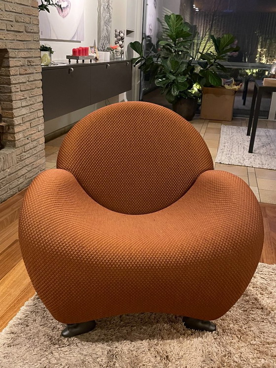 Image 1 of Leolux Papageno Sessel