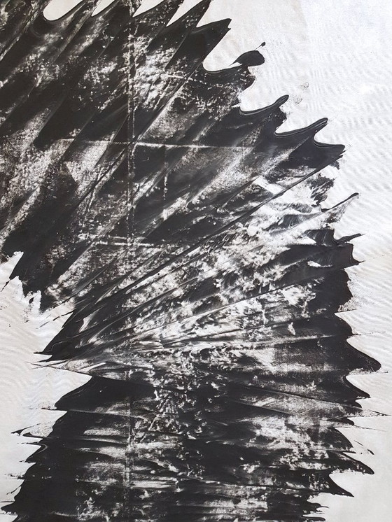 Image 1 of Jürgen Angeler - Zwarte Zilveren Sikkel