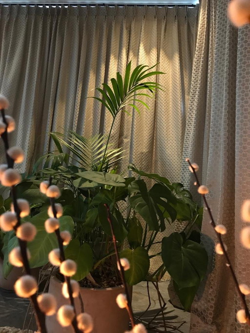 Luxe Gordijnen En Vitrages – decoratie, Textile