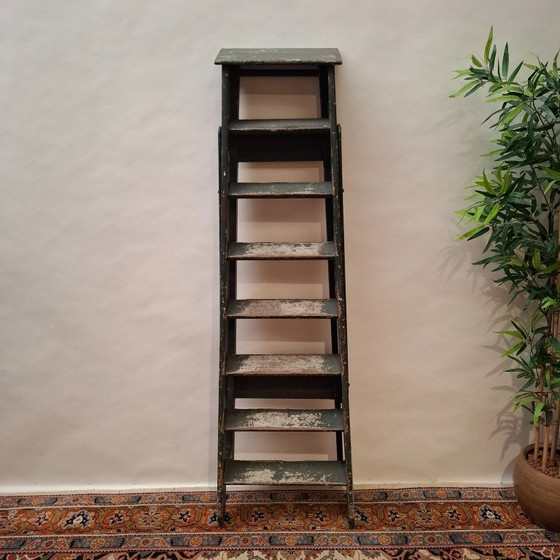 Scala da Pittore Vintage in Legno con Strato di Vernice Verde Scuro Consumato – Decorazione, Wood (photo 7 of 7)