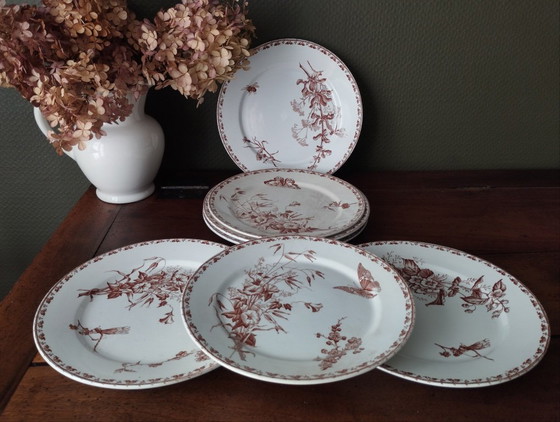 Image 1 of 7 platos llanos de loza Sarreguemines U&C "Carmen"