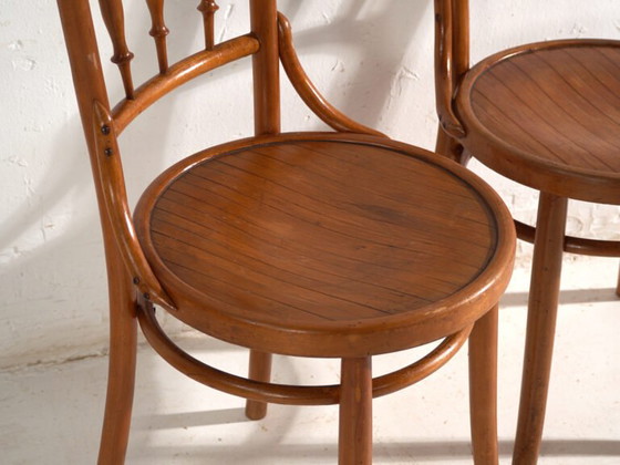 Sedie antiche in legno curvato stile Thonet – Ungheria, circa 1960 #8 – Sedie da pranzo (photo 23 of 40)