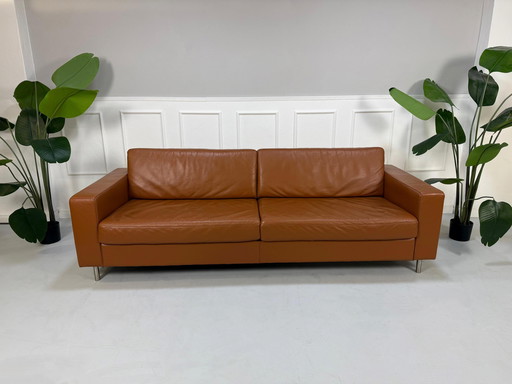 Bolia Scandinavia 3-Sitzer Cognac Leder Designer Sofa