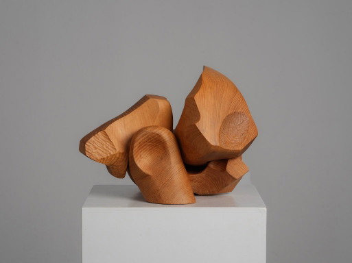 Organische abstrakte Holzskulptur von Joop van Bergen, Niederlande, 1980er Jahre – beeldhouwkunst, Wood