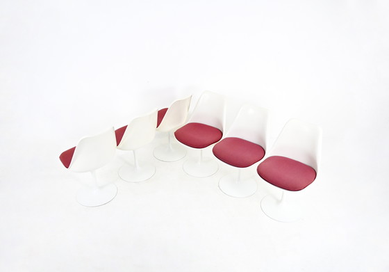 Image 1 of Chaises de salle à manger Tulip par Eero Saarinen pour Knoll International, 1970, ensemble de 6