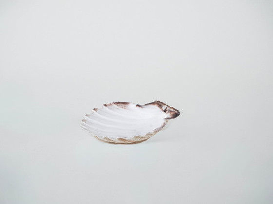 Image 1 of Coquillage décoratif, style bohème, années 1980